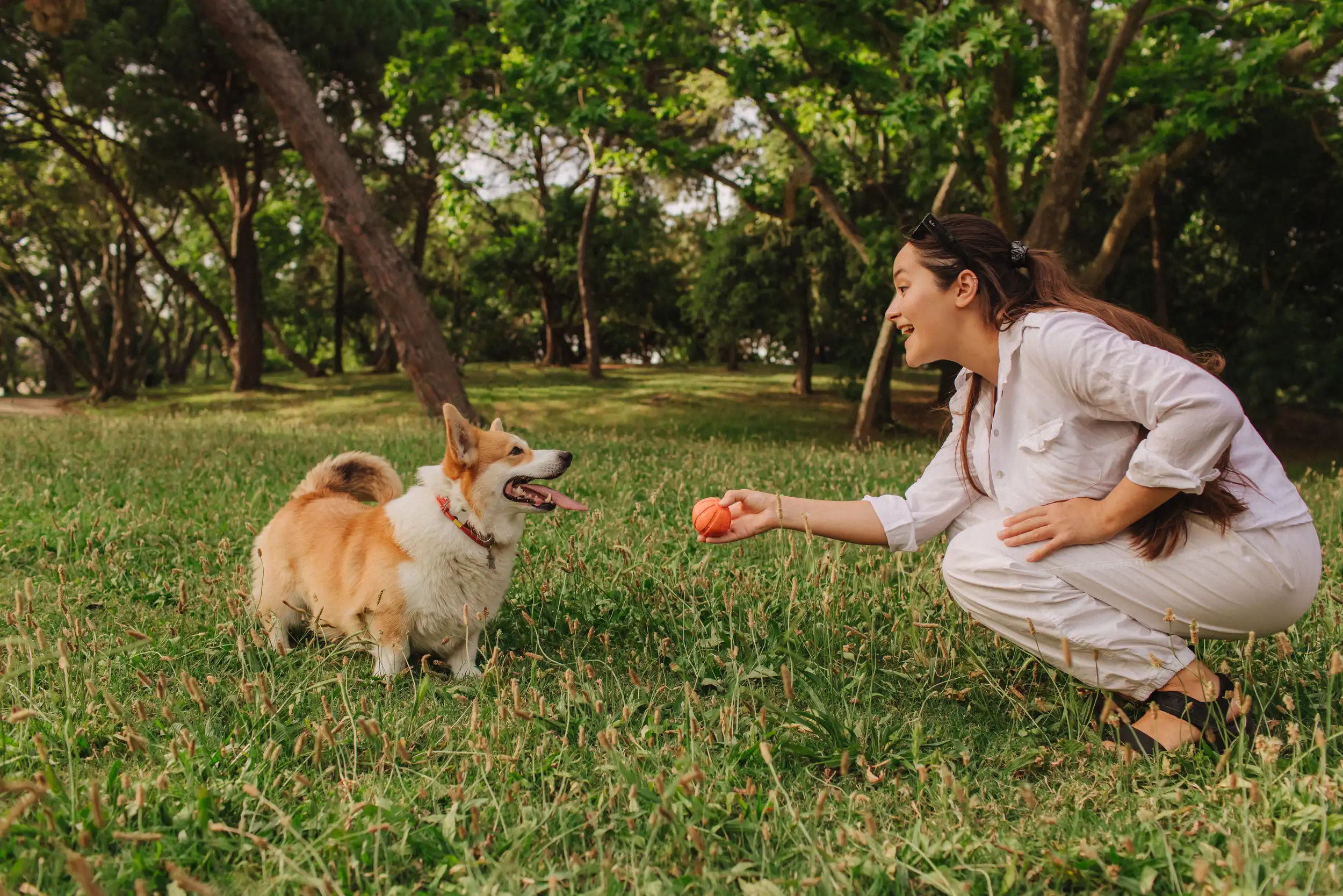 istock-2222602185